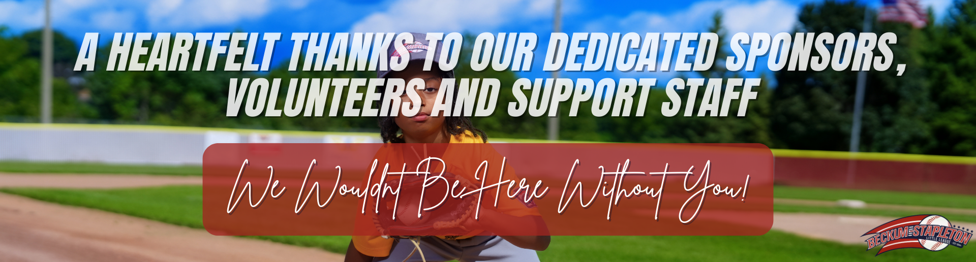 Donate to the BSLL Today